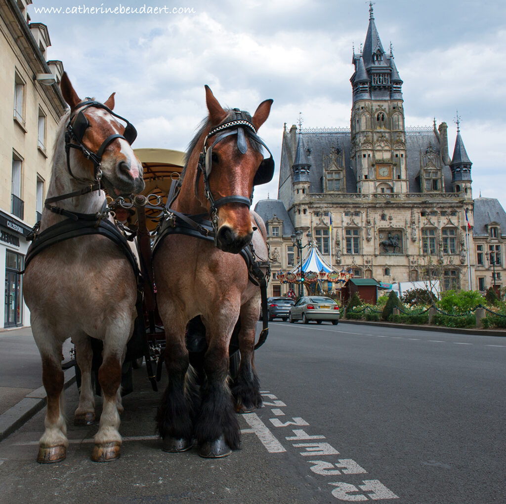 Visitez Compiègne à cheval