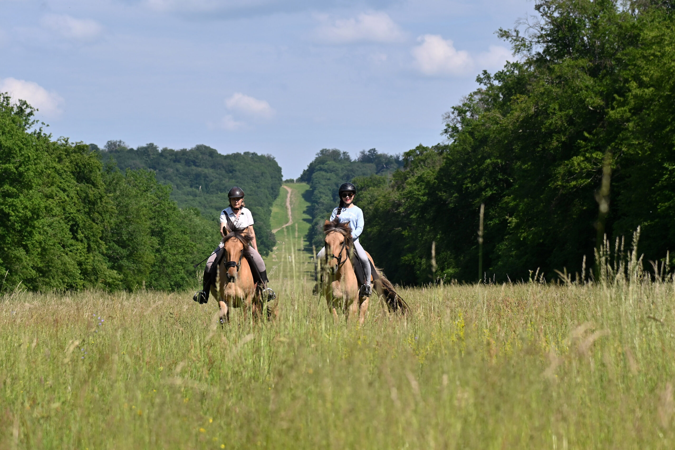 Balades à cheval à Compiègne.