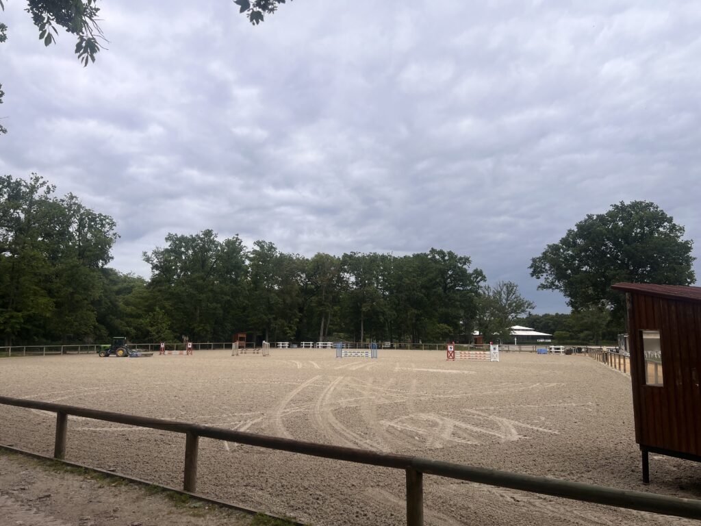 paddock d'entraînement, pour jeunes chevaux