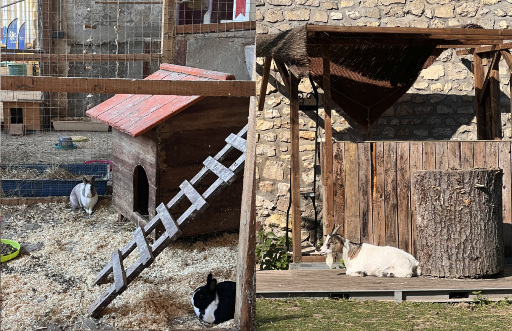 Ferme pédagogique Compiègne